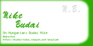 mike budai business card